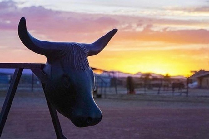 Wild West Sunset Horseback Ride With Dinner From Las Vegas - Delicious Food and Campfire Experience