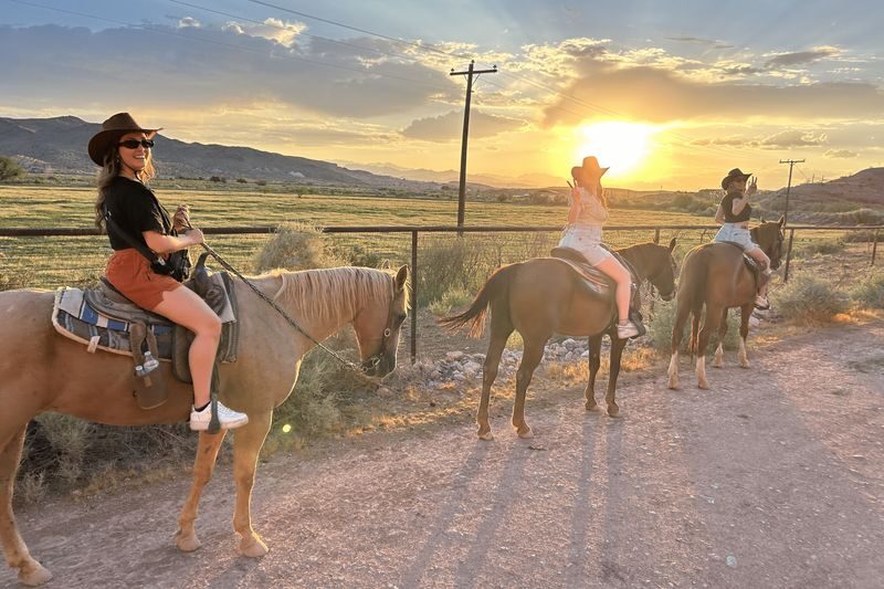 Wild West Sunset Horseback Ride with Dinner in Las Vegas - The desert at sunset, with wildlife in the mix