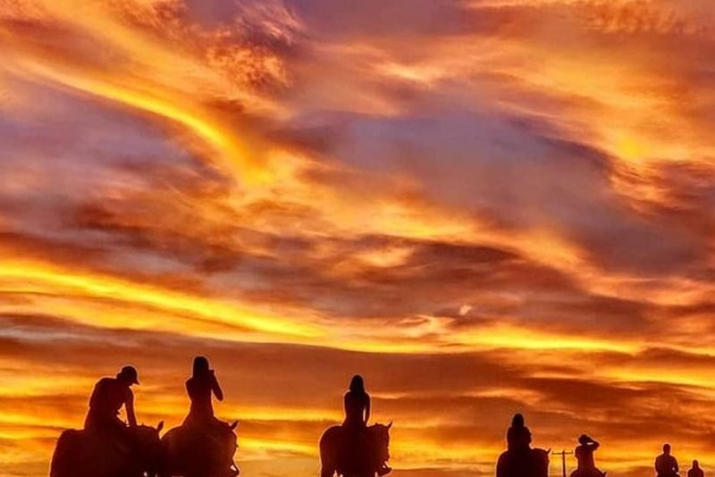 Wild West Sunset Horseback Ride with Dinner in Las Vegas - What the price includes, and how to judge the value