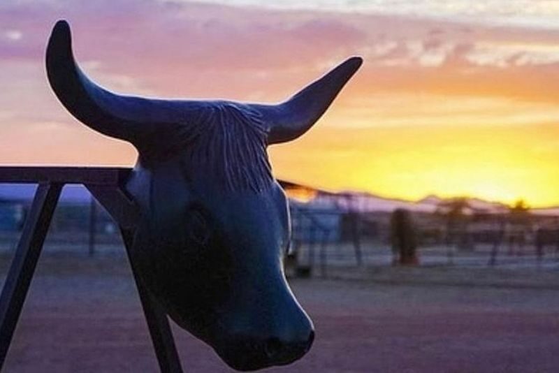 Wild West Sunset Horseback Ride with Dinner in Las Vegas - Pickup, clothing, and other practical details