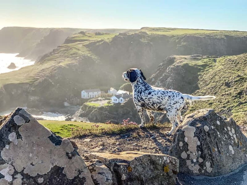 Wild west: Tour Cornwall`s rugged west coast. - Wild West: Tour Cornwall’s Rugged West Coast