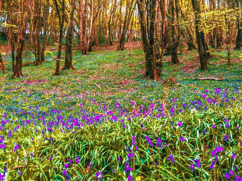 Wild west: Tour Cornwall`s rugged west coast. - Good To Know