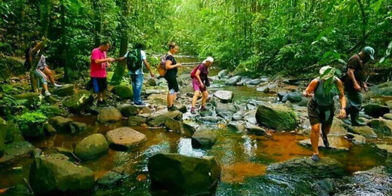 Wild Wonders (8 Days) - An In-Depth Look at the 8-Day Sri Lankan Wildlife and Culture Tour