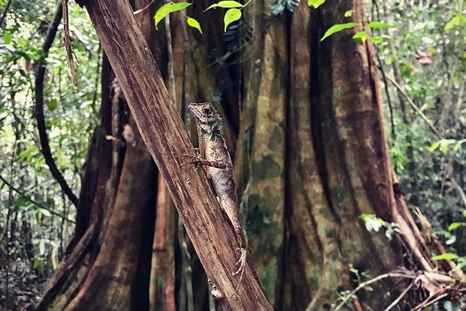 Wild Wonders Of Sri Lanka 7 Days - Experiencing the Serenity of Ellas Waterfalls