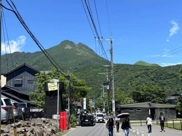 Wild Yufuin: A Day of Lakes, Zoos, and Wonders in Kyushu - Local Cuisine to Try