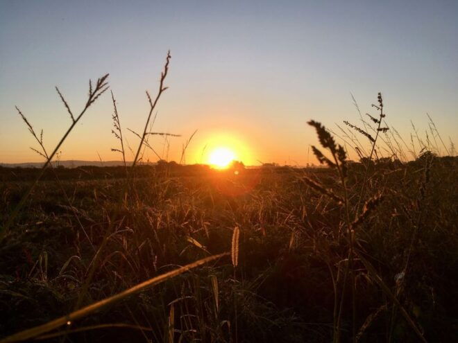 Wilder Skies - Somerset Nature Tours - Highlights and Benefits