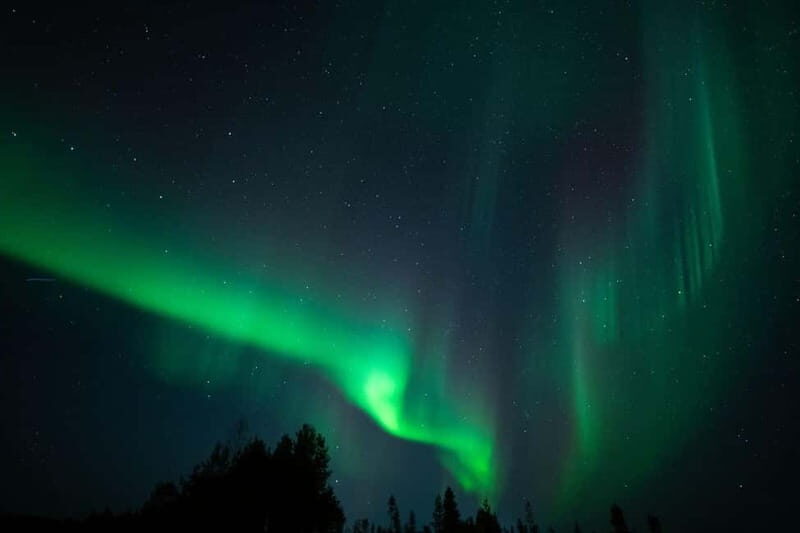 Wilderness Adventure by Snowmobile Sleigh - Good To Know