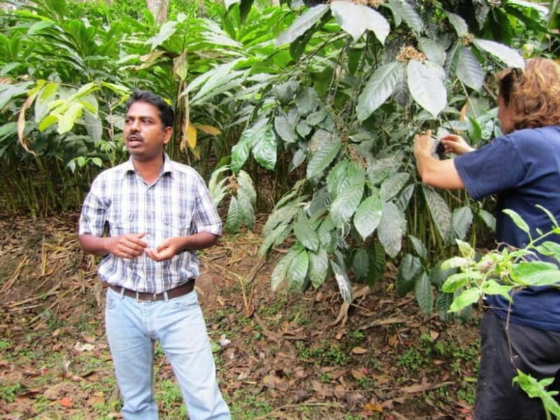 Wilderness & Culture: One Day Tour of Thekkady with Jeep !! - Exploring Thekkady in a Day: What You Can Expect