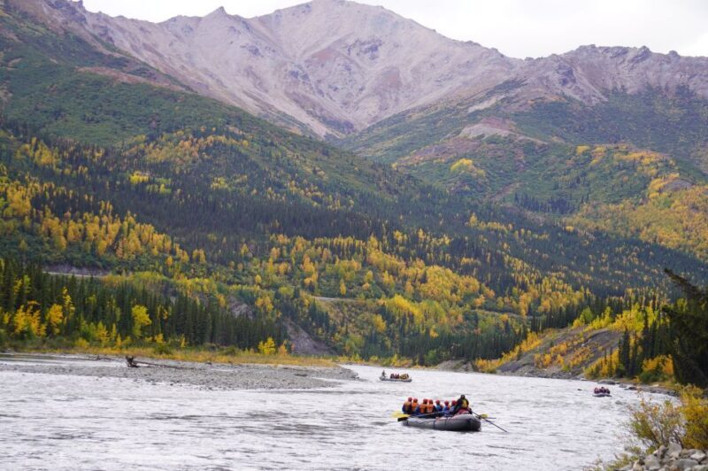 Wilderness: Denali National Park Class I-III Rafting Tour - Who Should Book This Tour?