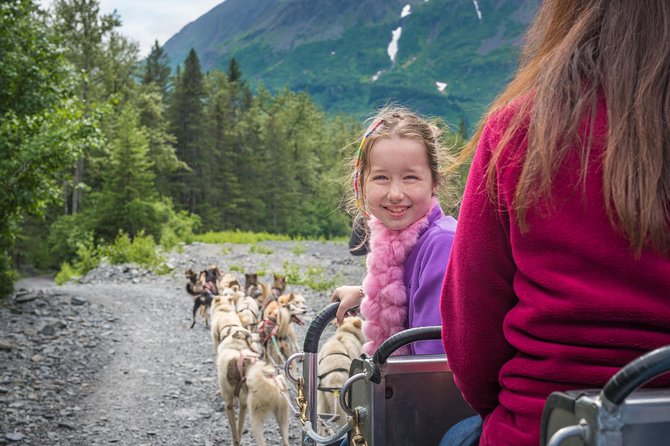 Wilderness Dog Sled Ride and Tour in Seward - Tour Overview and Details