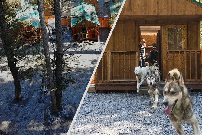 Wilderness Dog Sled Ride and Tour in Seward - Viator Help Center