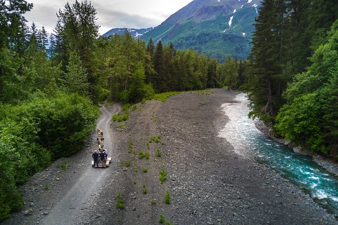 Wilderness Dog Sled Ride and Tour in Seward - Tips for a Memorable Dog Sled Experience