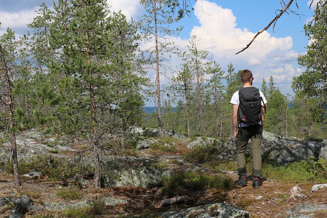 Wilderness Hike in Rovaniemi - Additional Information