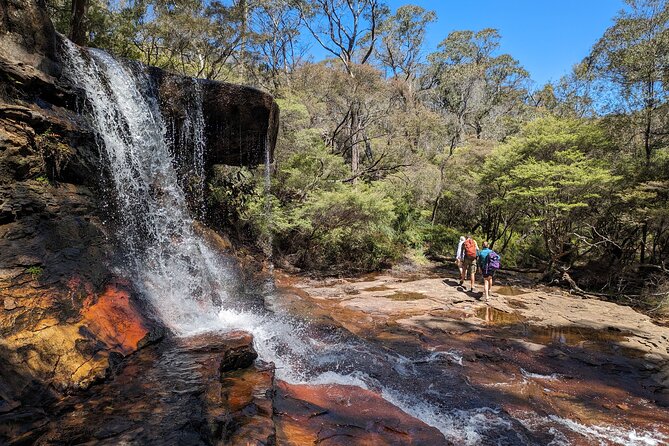 Wilderness, Waterfalls, Three Sisters BLUE MOUNTAINS PRIVATE TOUR - Traveler Photos and Reviews