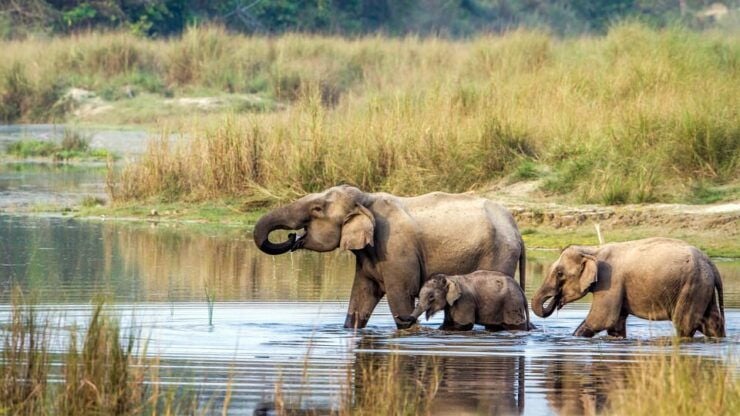 Wilderness Wonders: Private 3-Day Chitwan Safari Tour - Key Points
