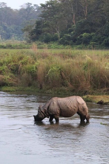 Wilderness Wonders: Private 3-Day Chitwan Safari Tour - Break Down