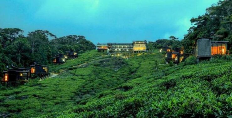 Wildlife and Adventure Expedition Across Sri Lanka in 8 Days - Adventure Activities Included
