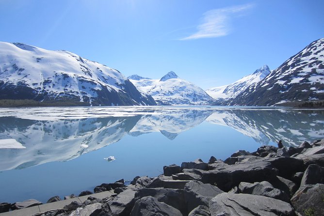 Wildlife and Glaciers With a Walk in the Rainforest - Recommendations and Price