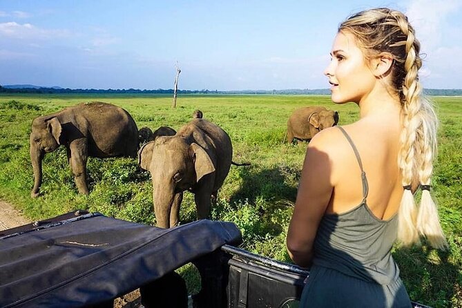 Wildlife and Nature Tour (18 Days , 17 Nights) - Location Details