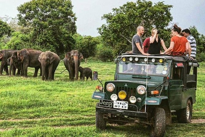Wildlife and Nature Tour (18 Days , 17 Nights) - Inclusions and Exclusions