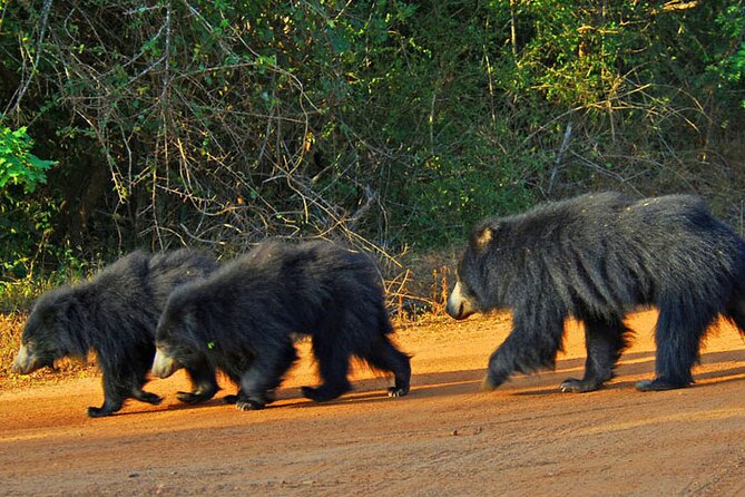 Wildlife and Nature Tour (18 Days , 17 Nights) - Transportation Logistics