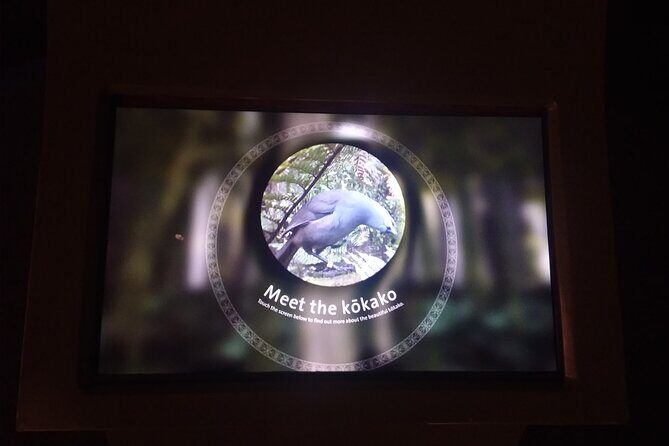 Wildlife Centre Experience - Final Thoughts: Is the Wildlife Centre Experience for You?