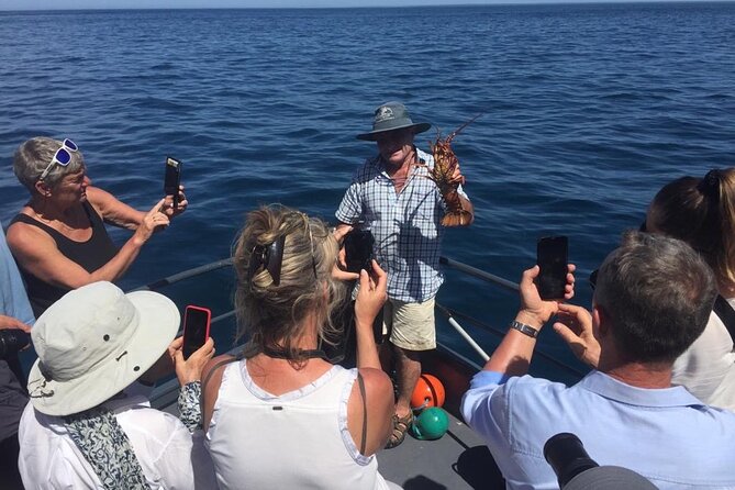 Wildlife Cruise - Wildlife Cruise Terms and Conditions