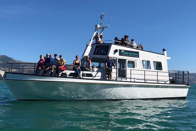 Wildlife Cruise - Common Questions