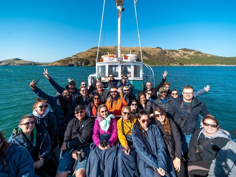 Wildlife Cruise of Dunedins Otago Peninsula - From Wellers Rock Wharf to the Otago Peninsula coast