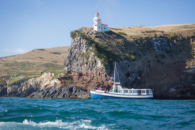 Wildlife Cruise With Transport - Wildlife Cruise Itinerary