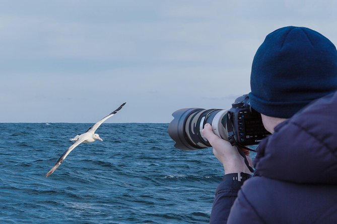 Wildlife Cruise With Transport - Included Transportation Details