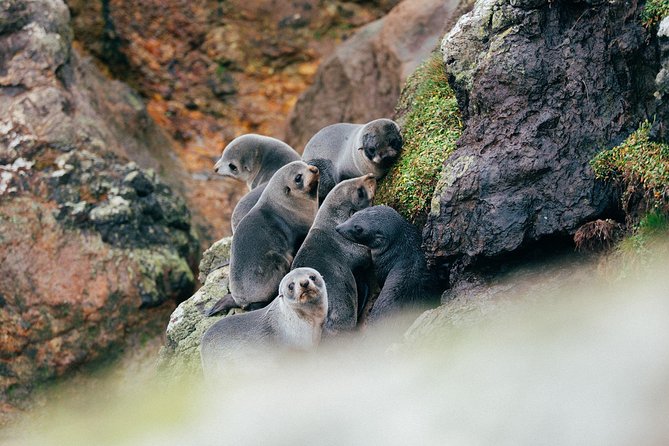 Wildlife Cruise With Transport - Expert Guides and Crew Members