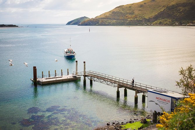 Wildlife Cruise With Transport - Safety Measures and Equipment Provided