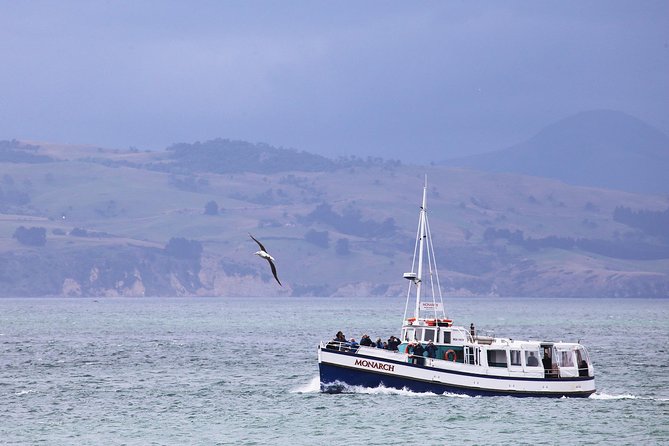 Wildlife Cruise With Transport - Optional Activities and Add-Ons