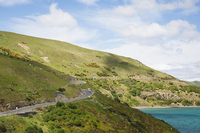 Wildlife Cruise With Transport - Booking Information and Availability