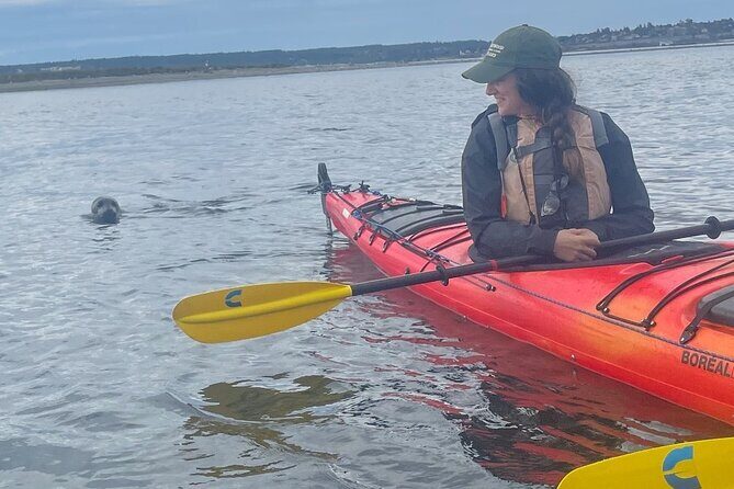Wildlife Kayak Tour at Fort Flagler State Park - Good To Know