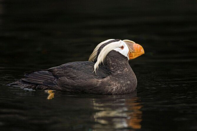 Wildlife Kayak Tour at Fort Flagler State Park - Analyzing the Value