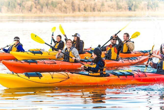 Wildlife Kayak Tour at Fort Flagler State Park - Who This Tour Is Best For
