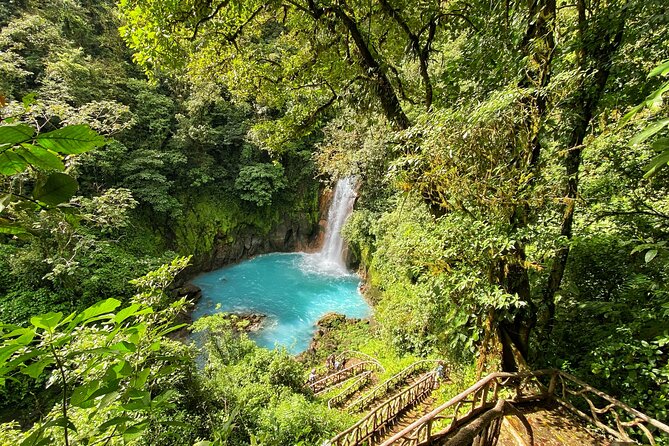 Wildlife Nature Hike, Blue Waterfall, Lunch & Sloth Trail - Tenorio Volcano Park - Wildlife Encounter