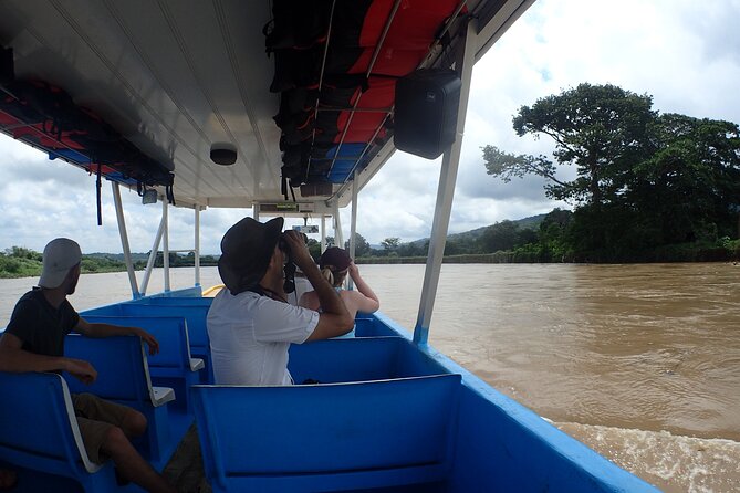 Wildlife Odyssey: Hike in Carara Park & Tarcoles River Adventure - Experience Highlights