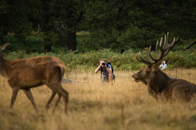 Wildlife Photography Workshop in Richmond Park in London - Whats Included