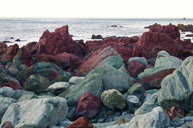 Wildlife Private Tour from Wellington Cruise Port - Final Thoughts