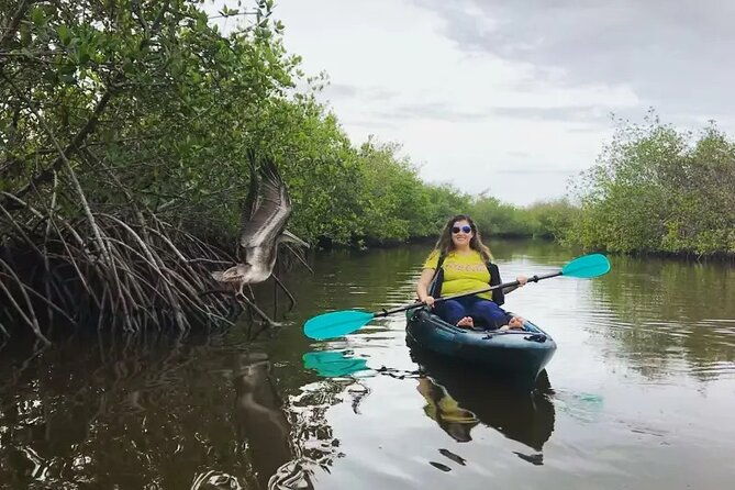 Wildlife Refuge Bio Comb Jelly Sunset Kayak or Paddleboard Tour! - Frequently Asked Questions  