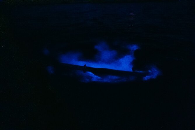 Wildlife Refuge Bioluminescent Kayak or Paddleboard Tour! - Cancellation Policy