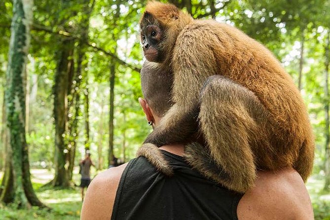 Wildlife Rescue Center and Punta Uva Beach & Jungle Hike - Traveler Feedback