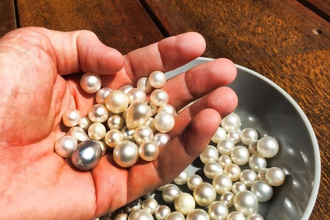 Wildlife, Rock Arts & Australian Pearls in a Day (Private Sydney Tour) - Discovering Australian Pearls