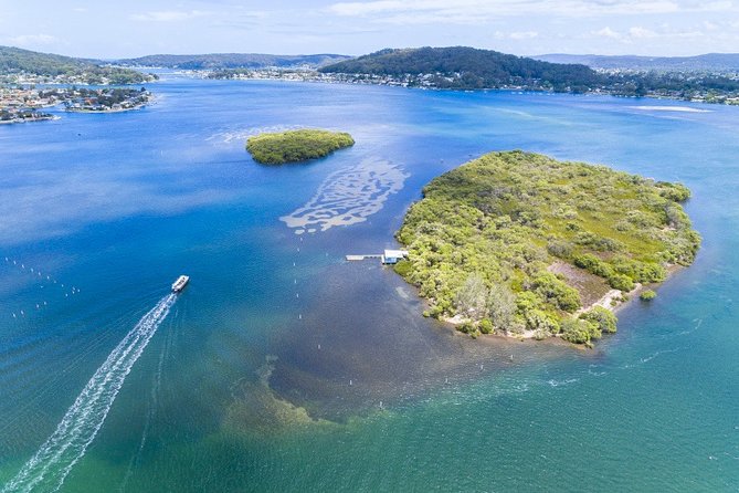Wildlife, Rock Arts & Australian Pearls in a Day (Private Sydney Tour) - The Sum Up