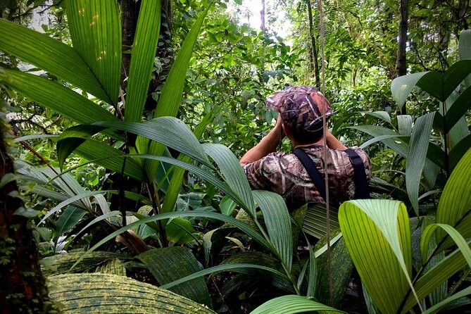 Wildlife Safari Boat Tenorio, Excellent Bird Watching Tour - Tour Overview
