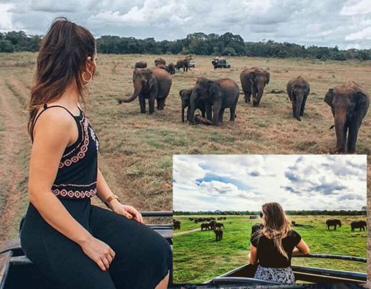 Wildlife Safari to Kaudulla National Park - Good To Know