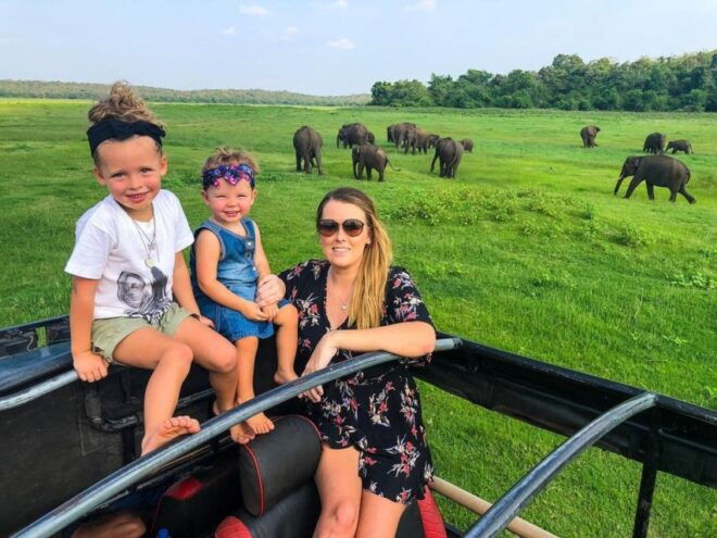 Wildlife Safari to Kaudulla National Park - Free Cancellation